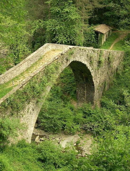 B&B Il Casale Delle Pianacce Castiglione di Garfagnana Exterior foto