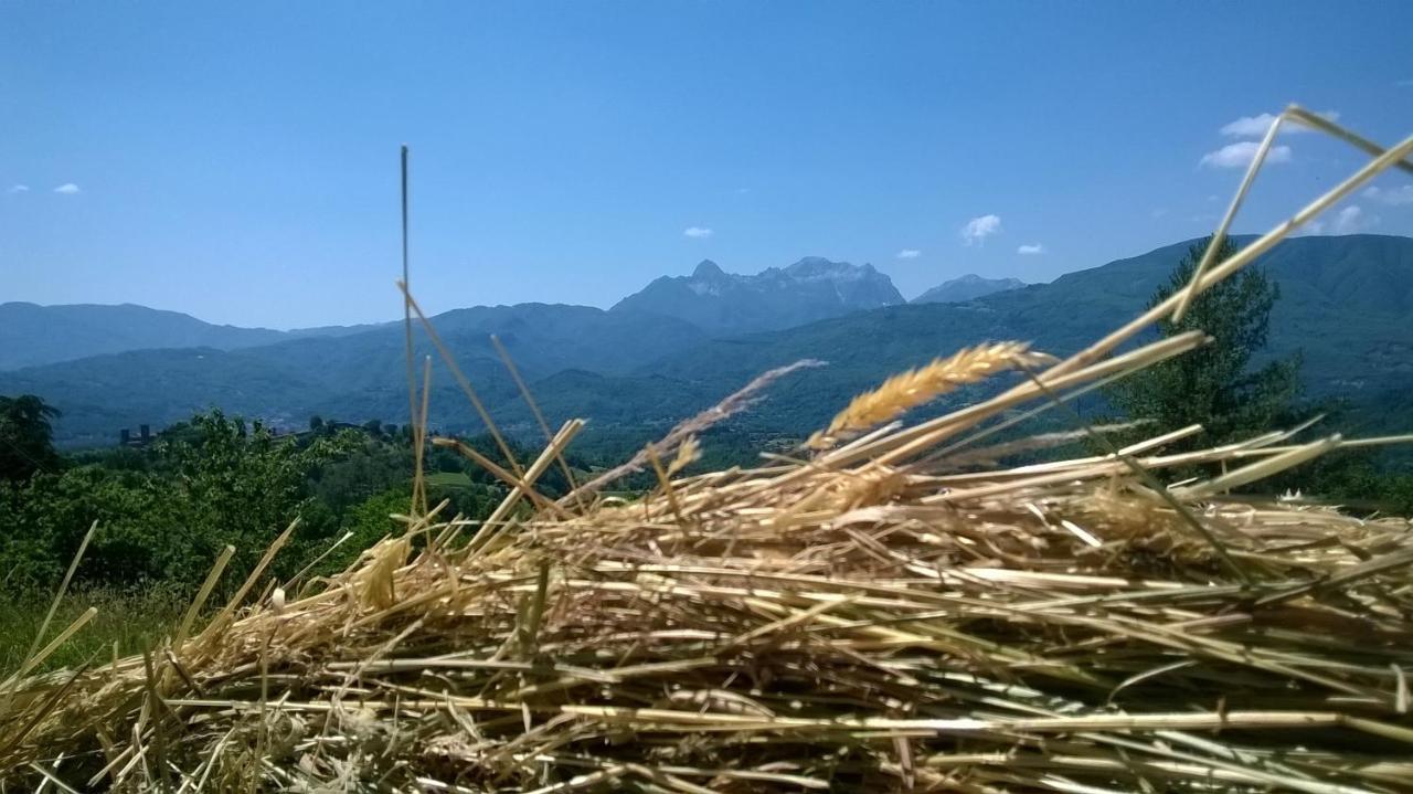 B&B Il Casale Delle Pianacce Castiglione di Garfagnana Exterior foto